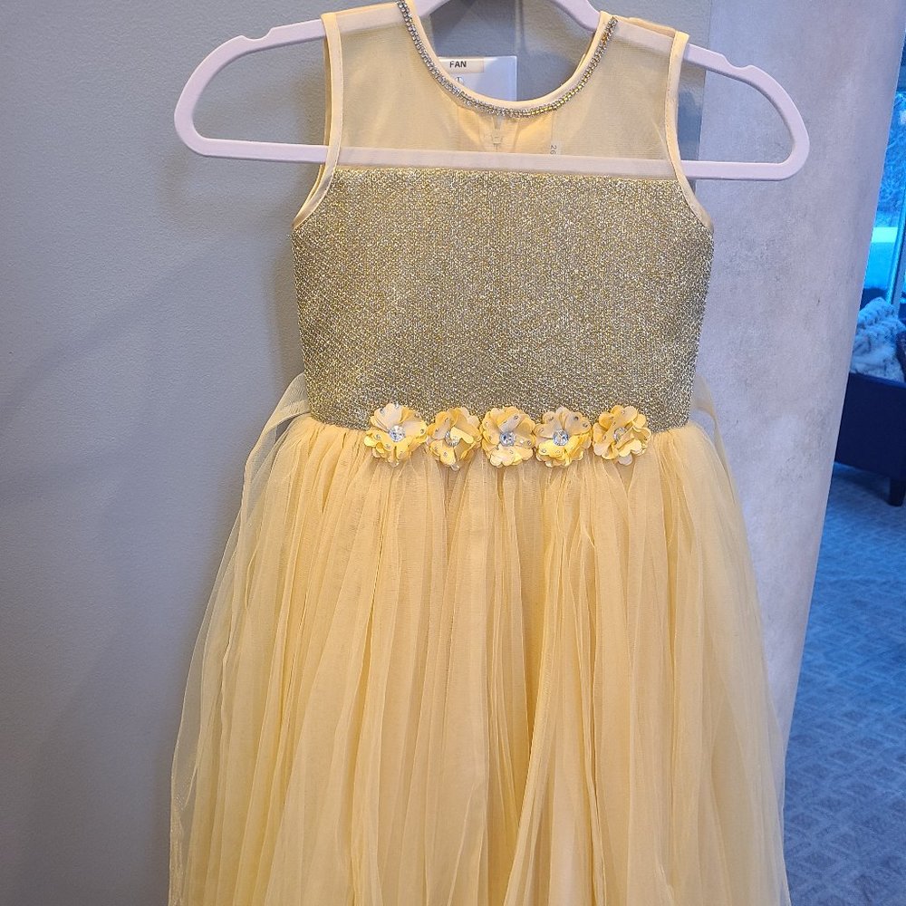 Girls fancy Indian gown dress